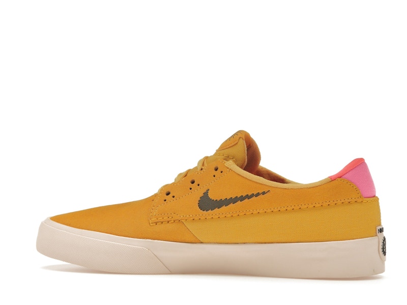 Nike SB Shane T Pollen