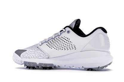 Jordan Trainer ST G White Wolf Grey