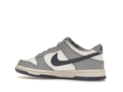 Nike Dunk Low Platinum Tint Light Carbon (GS)