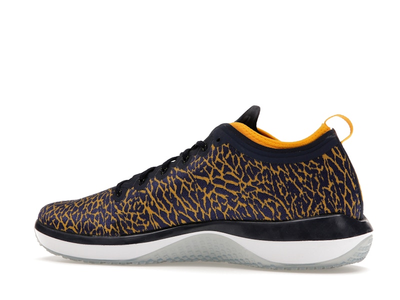 Jordan Trainer 1 Low Michigan