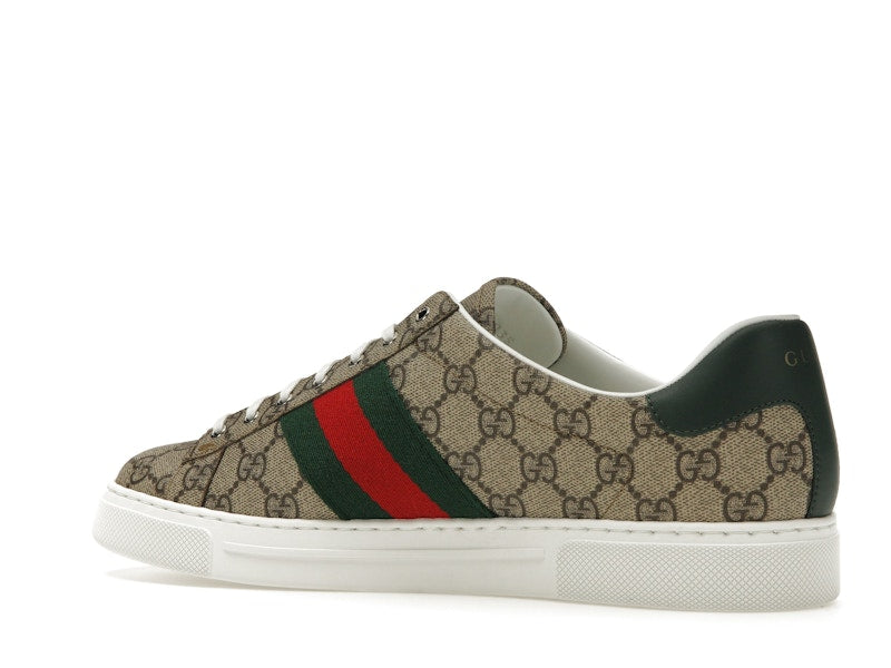 Gucci Ace Web Beige Ebony