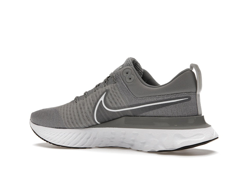 Nike React Infinity Run Flyknit 2 Particle Grey