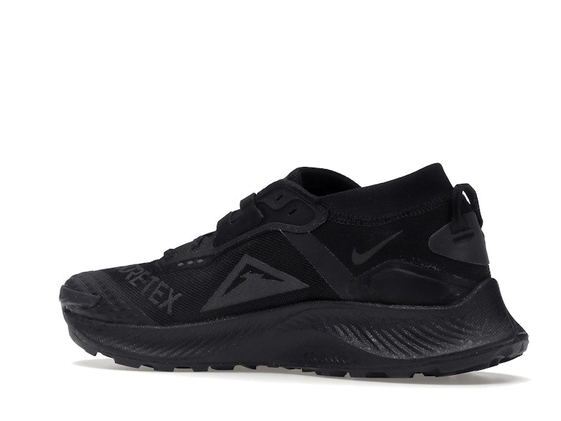 Nike Pegasus Trail 3 Gore-Tex Black Dark Smoke Grey
