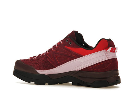 Salomon X-Alpages Gore-Tex The Broken Arm