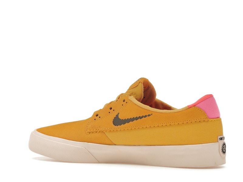 Nike SB Shane T Pollen