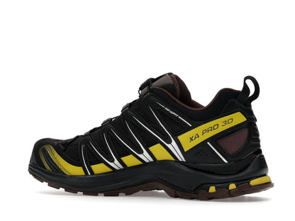 Salomon XA Pro 3D Gore-Tex Cress Green French Roast