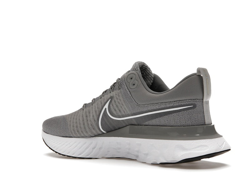 Nike React Infinity Run Flyknit 2 Particle Grey