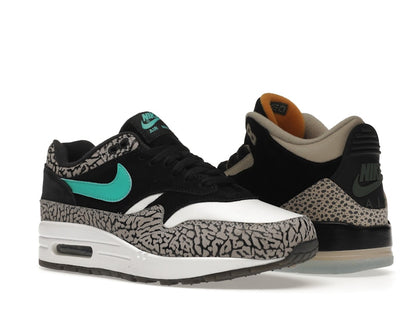 Jordan 3 Retro & Nike Air Max 1 atmos Pack