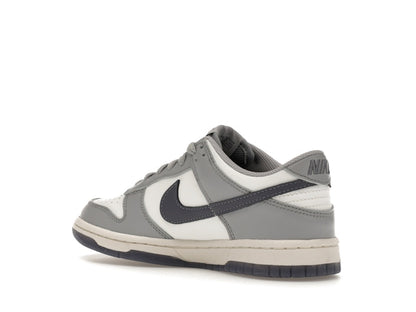 Nike Dunk Low Platinum Tint Light Carbon (GS)