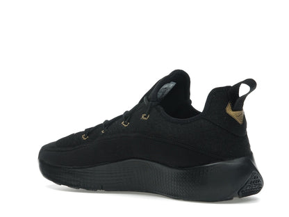 Nike LeBron TR 1 Black Metallic Gold