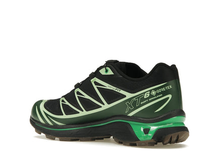 Salomon Advanced XT-6 Gore-Tex Eden Green Ash