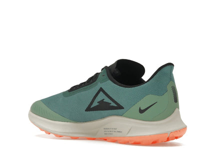 Nike Zoom Pegasus 36 Trail Gore-Tex Bicoastal (Women's)