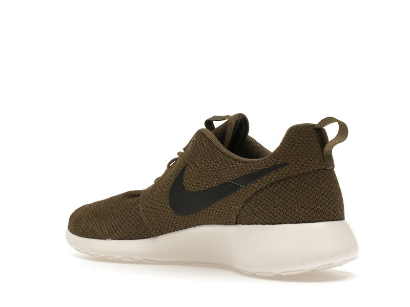 Nike Roshe Run Iguana