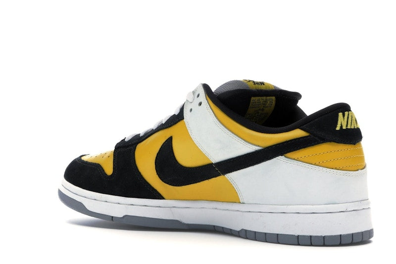Nike SB Dunk Low Bic