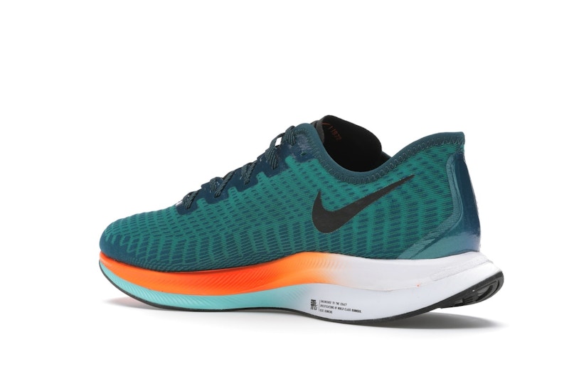 Nike Zoom Pegasus Turbo 2 Neptune Green