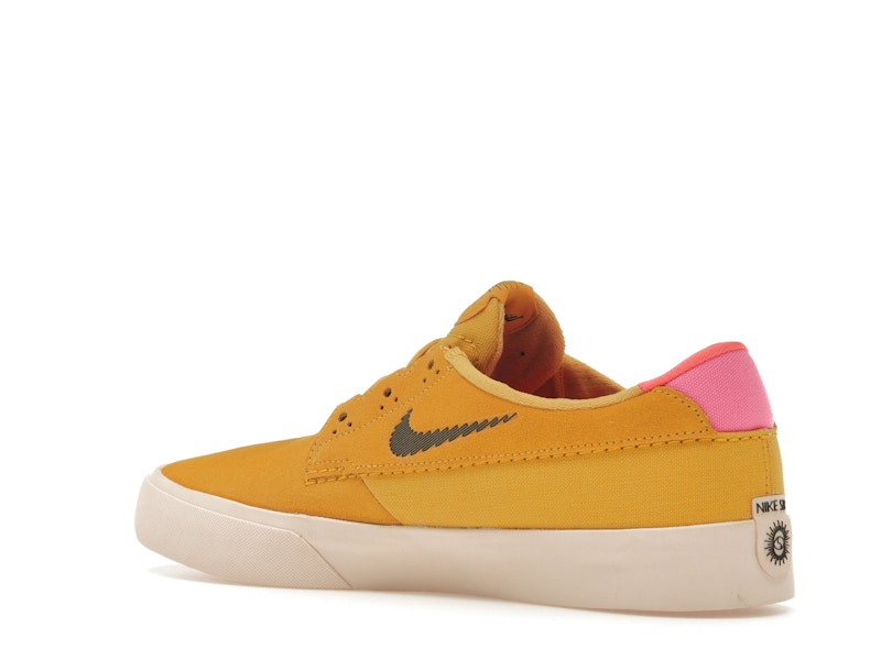 Nike SB Shane T Pollen