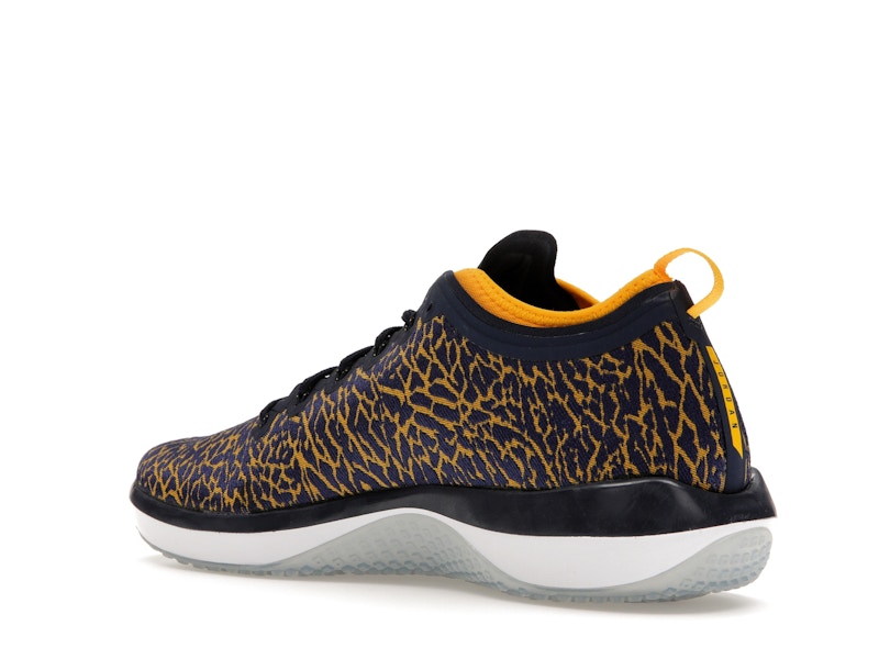 Jordan Trainer 1 Low Michigan