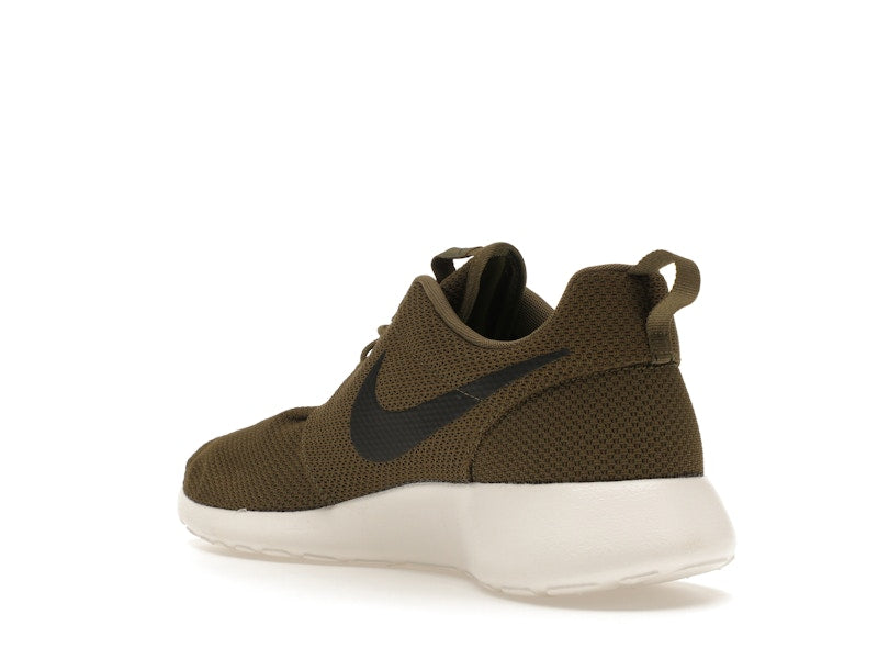 Nike Roshe Run Iguana