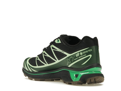 Salomon Advanced XT-6 Gore-Tex Eden Green Ash