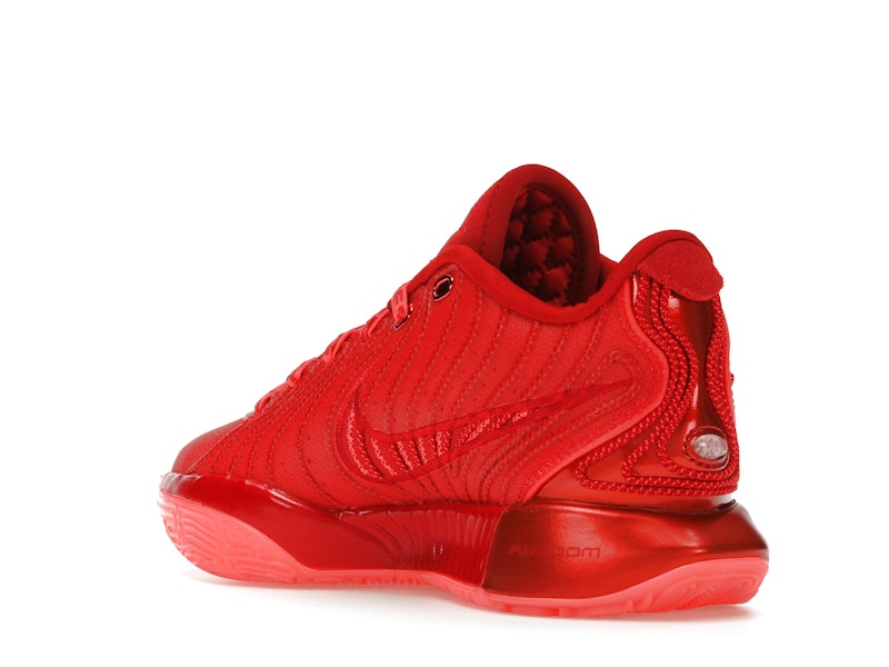 Nike LeBron 21 James Gang