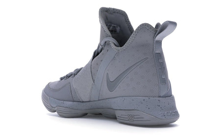 Nike LeBron 14 Silver