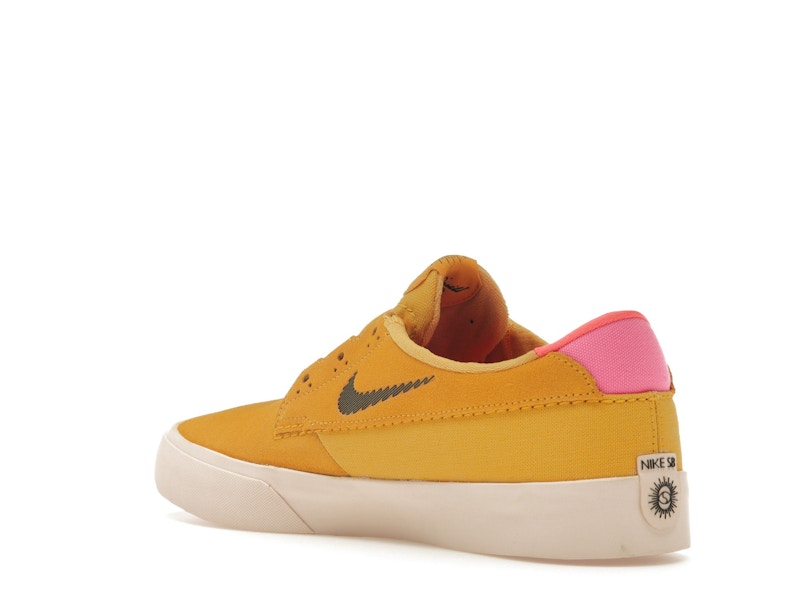 Nike SB Shane T Pollen