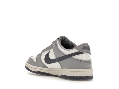 Nike Dunk Low Platinum Tint Light Carbon (GS)
