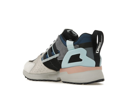 adidas ZX 10000 National Park Foundation