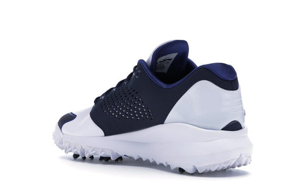 Jordan Trainer ST G White Obsidian