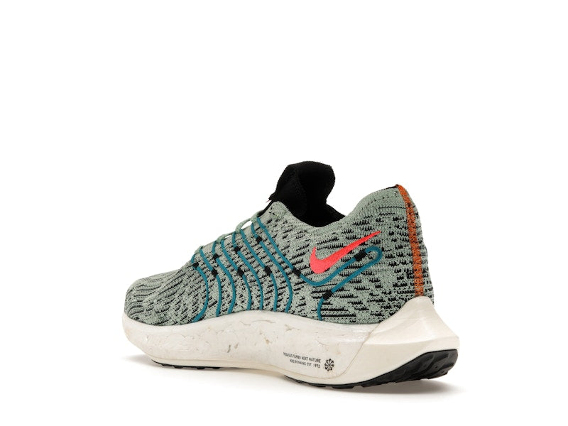 Nike Pegasus Turbo Next Nature 5 Borough Tour
