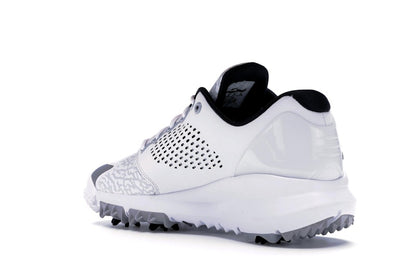 Jordan Trainer ST G White Wolf Grey