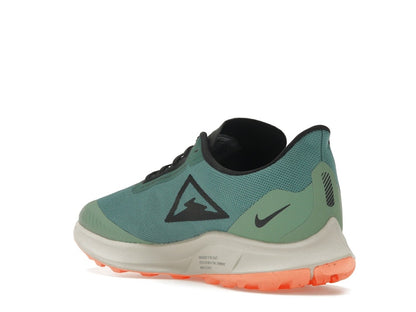 Nike Zoom Pegasus 36 Trail Gore-Tex Bicoastal (Women's)