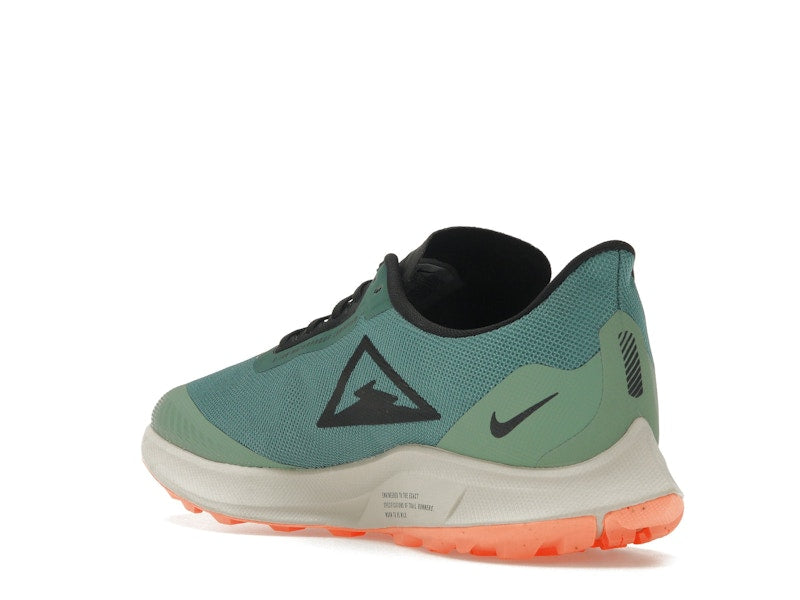 Nike Zoom Pegasus 36 Trail Gore-Tex Bicoastal (Women's)