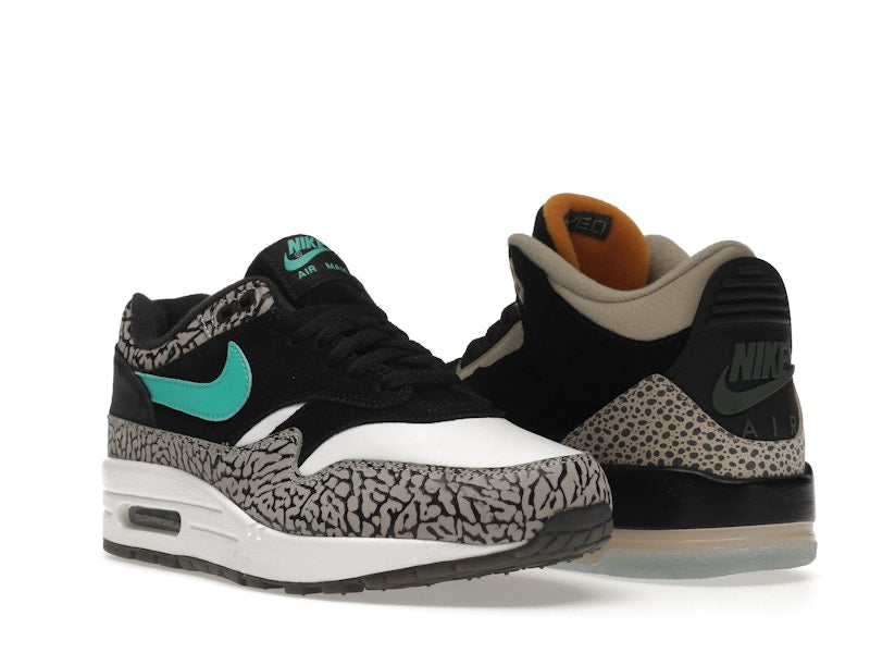 Jordan 3 Retro & Nike Air Max 1 atmos Pack