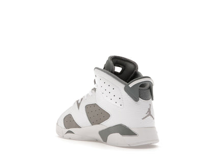Jordan 6 Retro Cool Grey (PS)