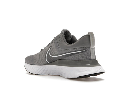 Nike React Infinity Run Flyknit 2 Particle Grey