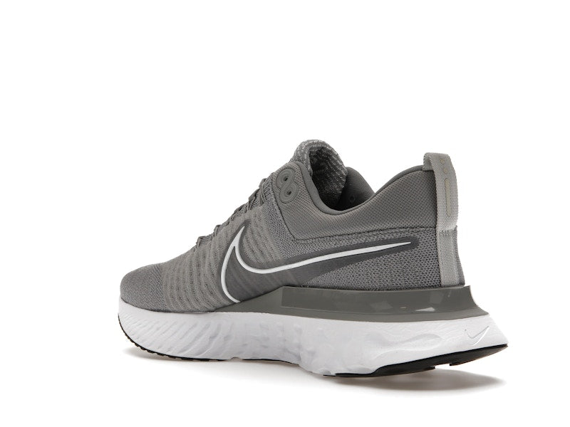Nike React Infinity Run Flyknit 2 Particle Grey