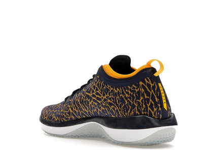 Jordan Trainer 1 Low Michigan