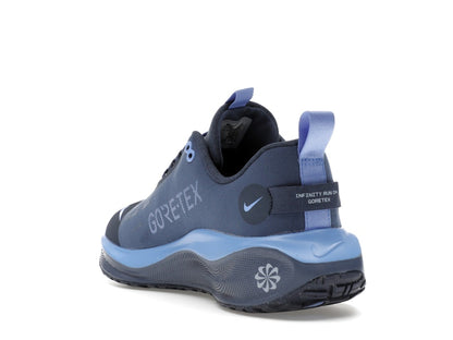 Nike React Infinity Run 4 Gore-Tex Thunder Blue Diffused Blue Royal Pulse Metallic Red Bronze (Women's)
