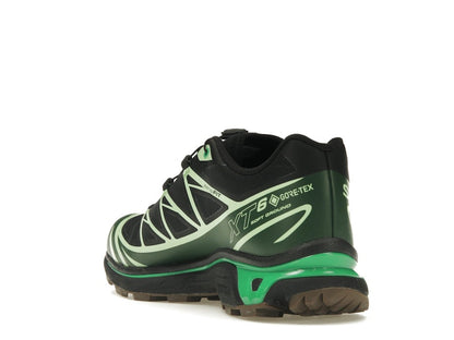 Salomon Advanced XT-6 Gore-Tex Eden Green Ash
