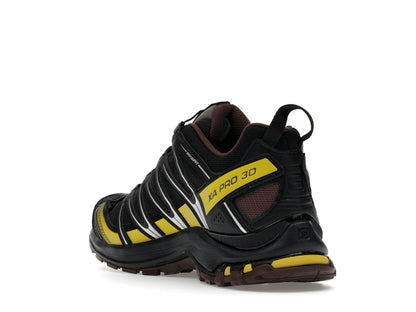 Salomon XA Pro 3D Gore-Tex Cress Green French Roast