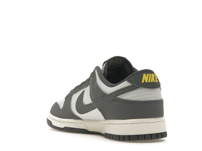 Nike Dunk Low Next Nature Iron Grey Lightning