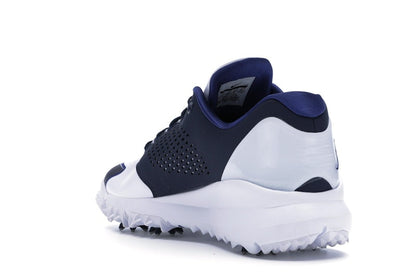 Jordan Trainer ST G White Obsidian