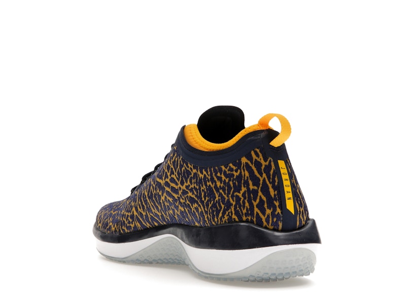 Jordan Trainer 1 Low Michigan