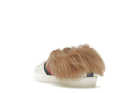 Gucci Ace Fur