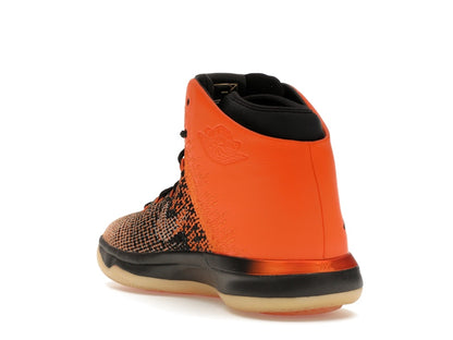 Jordan XXX1 Shattered Backboard