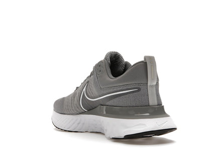 Nike React Infinity Run Flyknit 2 Particle Grey