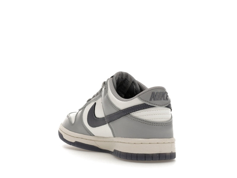 Nike Dunk Low Platinum Tint Light Carbon (GS)