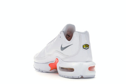 Nike Air Max Plus TN SE White Silver (GS)