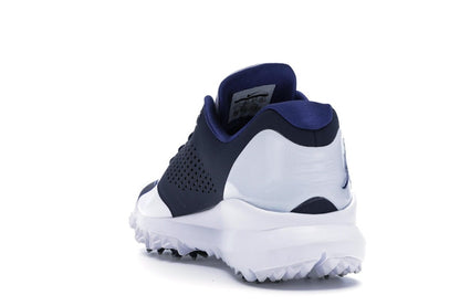 Jordan Trainer ST G White Obsidian